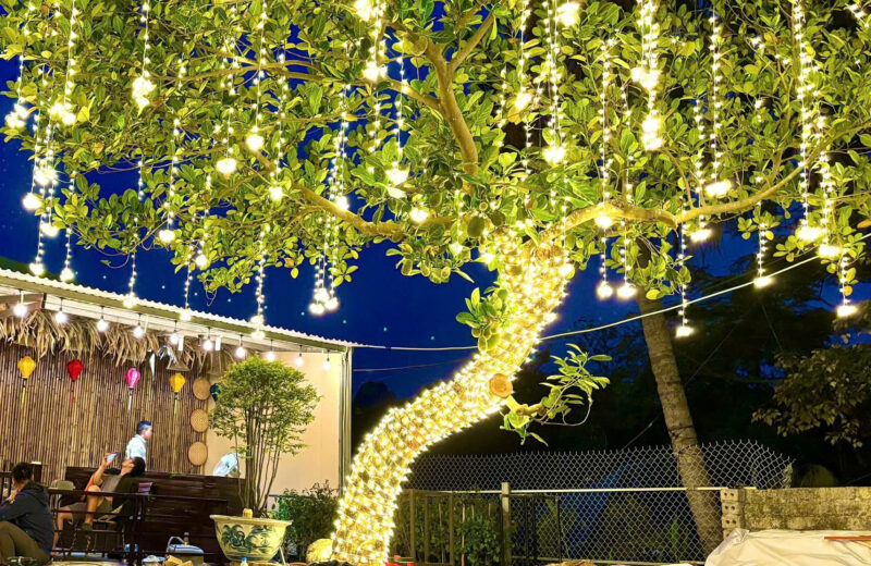 Lắp Đèn Led Cây Xanh